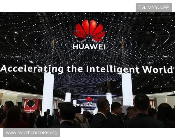 以国际化视野推动全球合作与共赢发展的新模式探索